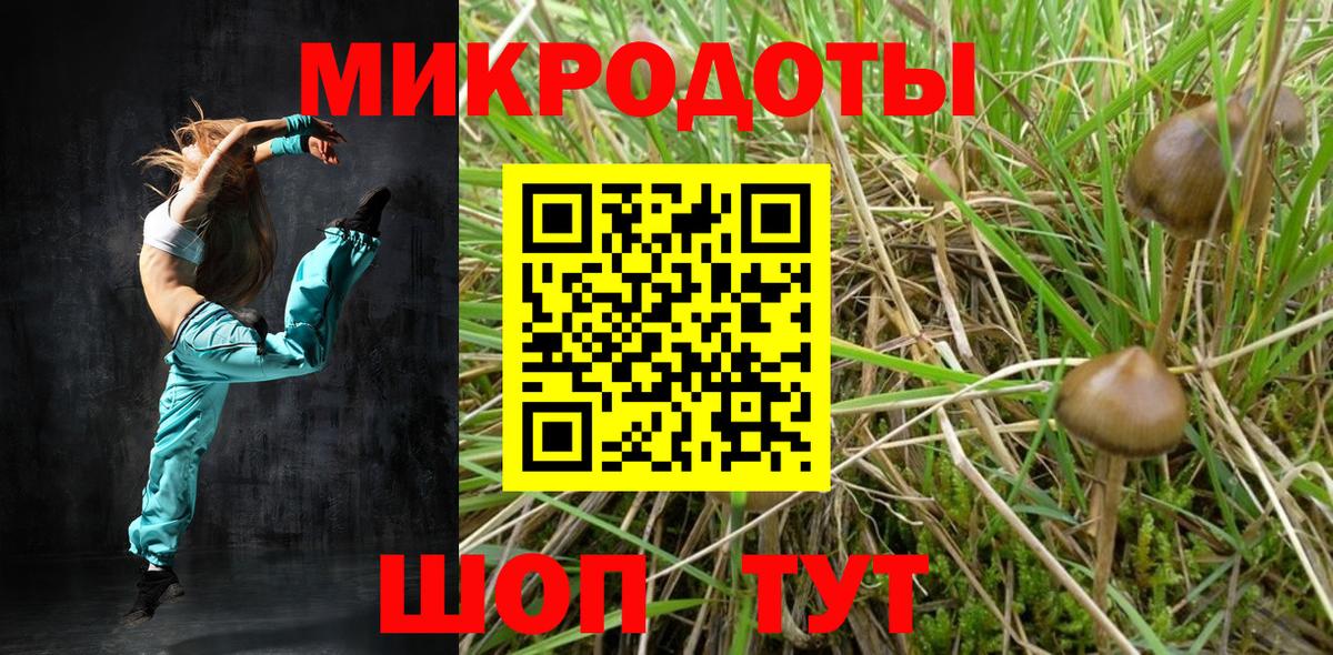 Тайшет  Галлюциногенные грибы Cubensis  Вход с VPN 